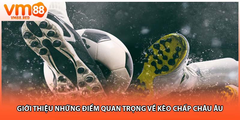 Giới thiệu những điểm quan trọng về kèo chấp châu Âu