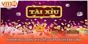 Phần mềm dự đoán tài xỉu